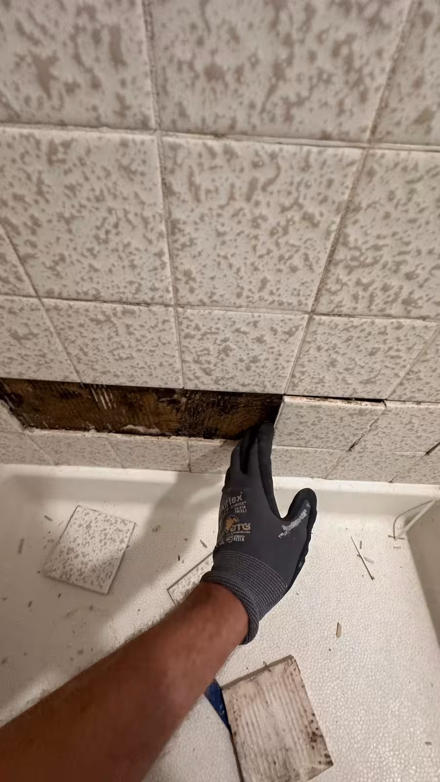 Water-damaged shower wall during tile removal in Arvada Colorado shower leak repair project