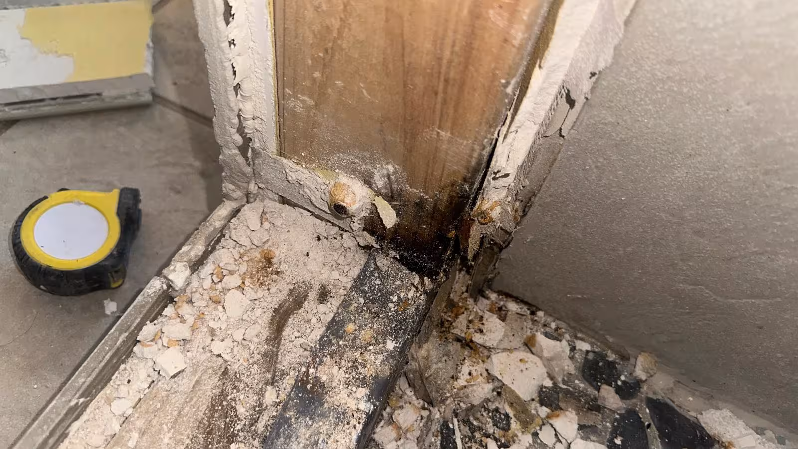 Mold and water damage on wood framing during DTC shower pan reconstruction