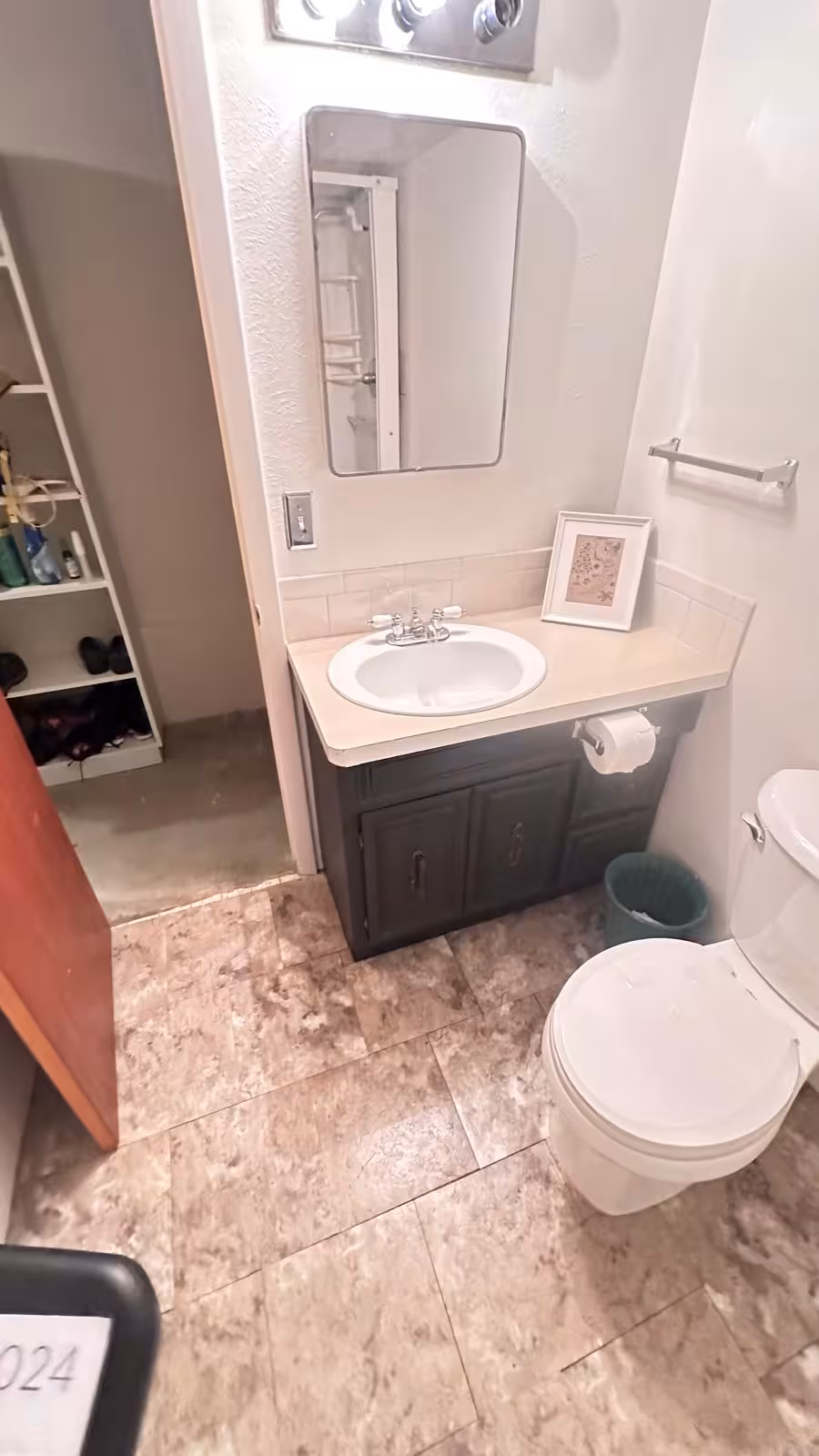 Basement bathroom vanity and toilet before complete remodel Littleton