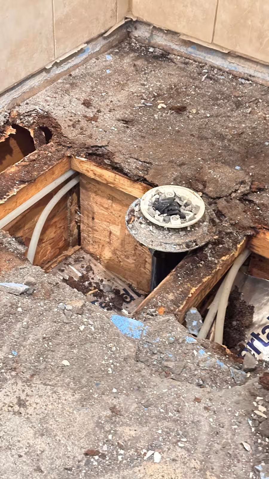 Severe water damage with rotted wood framing exposed beneath failed shower pan Elizabeth Colorado